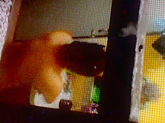 Spying on my Step sister in law in the shower 2