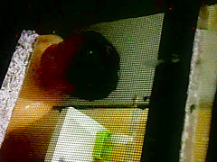 Spying on my Step sister in law in the shower 2