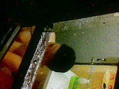 Spying on my Step sister in law in the shower 2