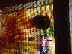 Spying on my Step sister in law in the shower 2