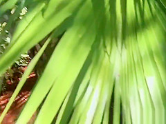 Stranded teen 18+ bangs in exbfs house