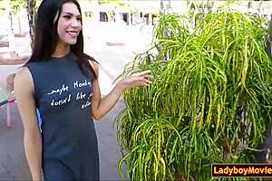 Thai Lady In Ladyboy Jerks Off In Public Toilet
