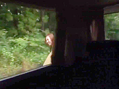 The Hitchhiker
