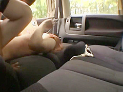 The Hitchhiker