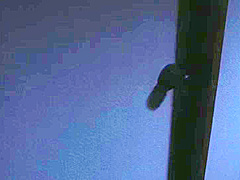 The burglar who entered our house yesterday