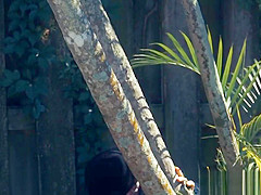 Tiedup 19yo gets banged deeply by intruder