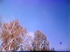 Um Pistoleiro Chamado Papaco (1986)