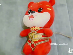 Unlucky Little Tiger