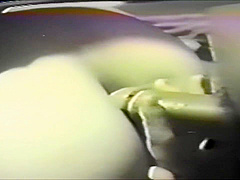 Vintage Japanese Bdsm Art 01 (kinbaku & Anal Sex)