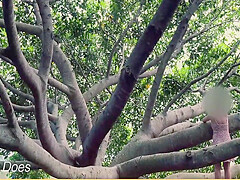 Wife Climbs Trees With No Panties On 5 Min