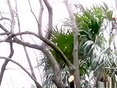 Woman Entices Men From Her Veranda