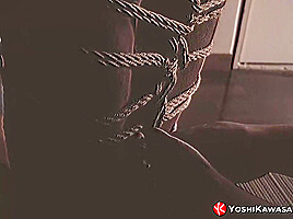YOSHIKAWASAKIXXX - Asian Hunk Kosuke Endures Shibari Bondage