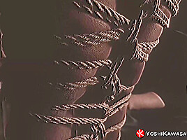 YOSHIKAWASAKIXXX - Asian Hunk Kosuke Endures Shibari Bondage
