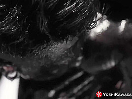 YOSHIKAWASAKIXXX - Yoshi Kawasaki Raw Bred By Damian Dragon