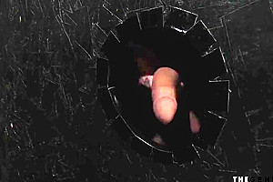 Young Trans Gloryhole Frottage With Lucky Guy