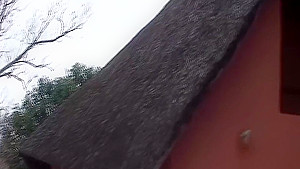 african safari babe backseat fucked