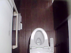 beautiful in toilet2