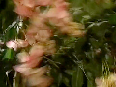 coic en epñol porn -Vintage German Sex Vol 1 - 3