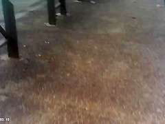 *** girl sexy end public
