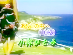 vintage japan 06