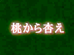 vintage japan 09