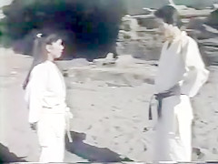 weird retro japanese porn  busty karate lesson bad audio